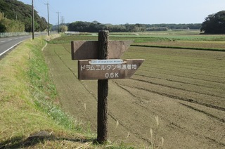ドラムエルタン号漂着地.jpg